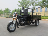Запчасти на Трицикл грузовой LIFAN AGIAX (АЯКС) 200 куб.см